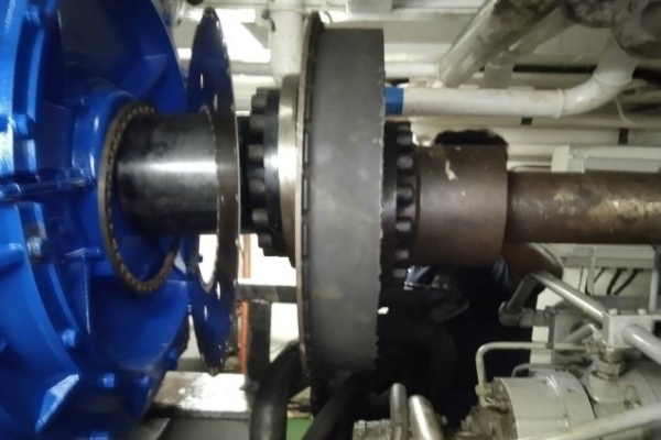 172BA2ABB-308D-6F50-980B-A36280BD3793.jpg