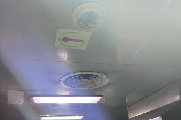 577992414716493843A0CEE389-7240-6E17-3E3E-1A76D49C4B43.jpg