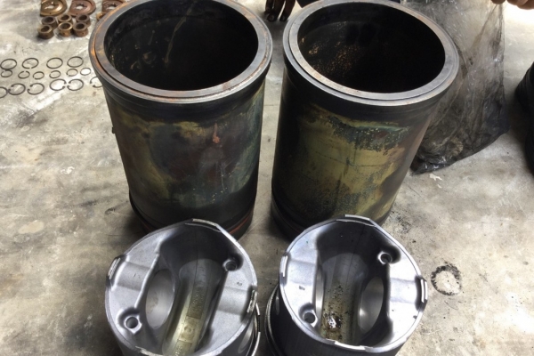 sc-303ED7BDE47-1052-EB4A-27F1-71BC6727ECD8.jpg