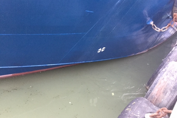marine-services-0878CA9356A-E93B-E302-258F-0A6F39E36357.jpg